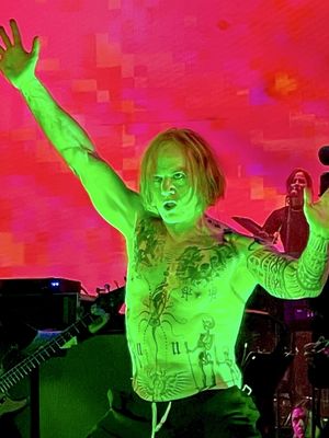 The Rose Quarter by null