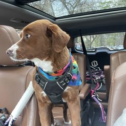 Post grooming! Post grooming!