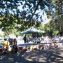 Photo of Feria Plaza Sarmiento