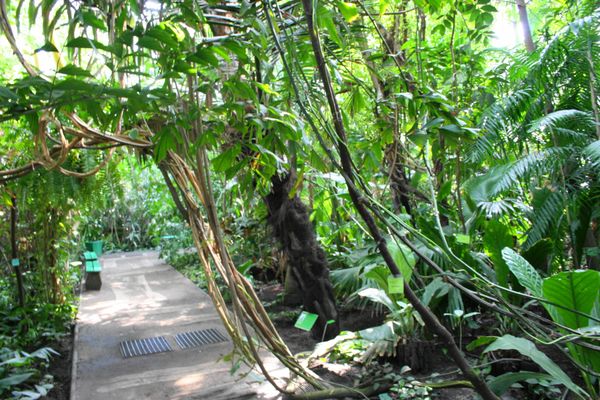 Palmiarnia Poznańska by null