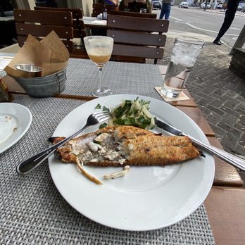 Cochon RESTAURANT - Red snapper and winter's beach - Cajun/Creole Near Me - New Orleans, Louisiana Cochon RESTAURANT - Red snapper and winter's beach - Cajun/Creole Near Me - New Orleans, Louisiana