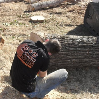 C&C Tree Service, LLC - Tree Services Near Me - Canton, Georgia