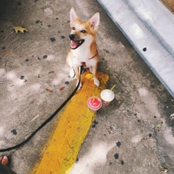 7-Eleven - Can i haz slurpeeees?