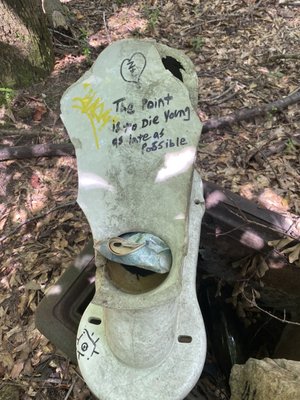 Doll's Head Trail by null