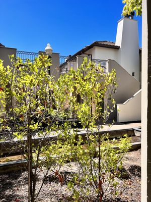 Hotel Villagio at The Estate Yountville by null