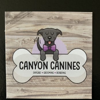 Canyon Canines - Pet Groomers Near Me - Canyon Lake, California Canyon Canines - Pet Groomers Near Me - Canyon Lake, California