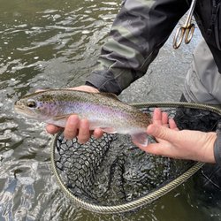The Hook Fly Shop