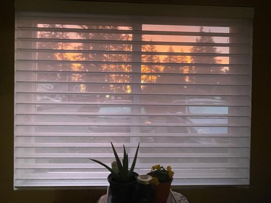 Shine A Blind
