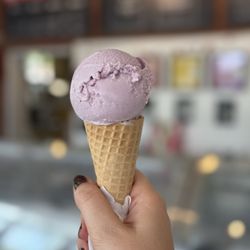 Triple Scoop’d Ice Cream Shop - Sugar Cone Vegan black raspberry
