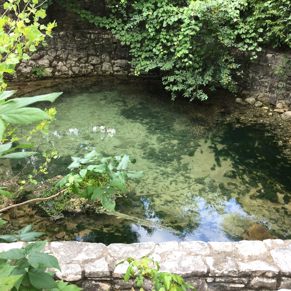 Sunken Gardens Springs - Salamander playground. No humans allowed! - Local Flavor Near Me - Austin, Texas Sunken Gardens Springs - Salamander playground. No humans allowed! - Local Flavor Near Me - Austin, Texas