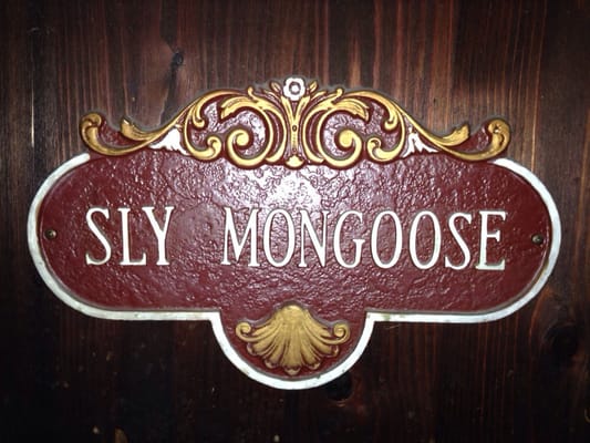 Sly Mongoose by null