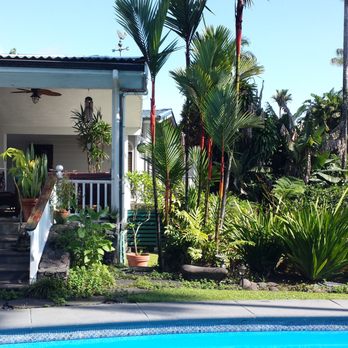 Orchid Tree Bed & Breakfast - A view of the lanai - Bed & Breakfast Near Me - Hilo, Hawaii