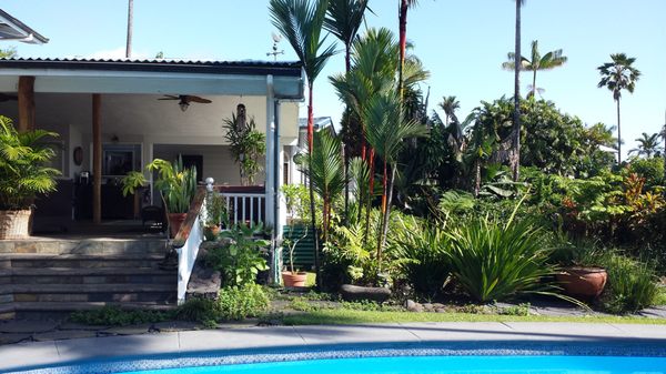 Orchid Tree Bed & Breakfast by null