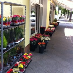 Blumen Hinterstoisser