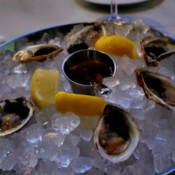 T-Squared Social - Oysters