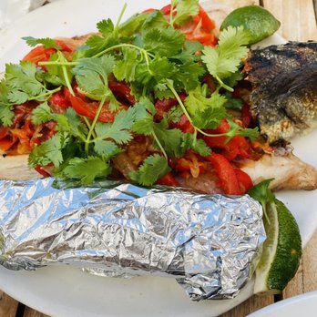 Fig Tree - Fish fajita - Cafes Near Me - Los Angeles, California Fig Tree - Fish fajita - Cafes Near Me - Los Angeles, California