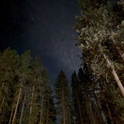 Hat Creek Resort & RV Park