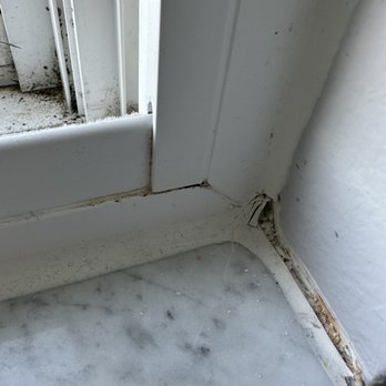 Window World - Orlando - Mold inside the window and damage done by installers - Windows Installation Near Me - Orlando, Florida Window World - Orlando - Mold inside the window and damage done by installers - Windows Installation Near Me - Orlando, Florida