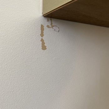 Bellanca Hotel - Scuffs throughout the room - Hotels Near Me - Avalon, California