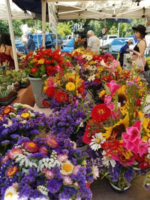 Chico Certified Farmers Market by null