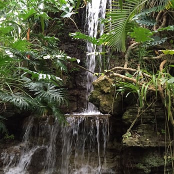 Krohn Conservatory - The waterfall - Botanical Gardens Near Me - Cincinnati, Ohio Krohn Conservatory - The waterfall - Botanical Gardens Near Me - Cincinnati, Ohio