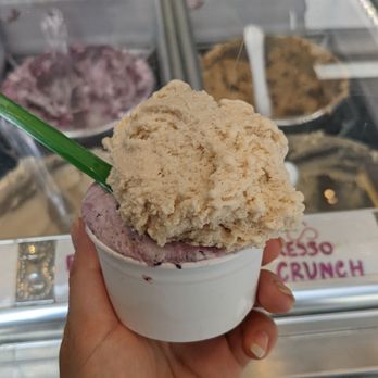 Nani's Gelato - 1 scoop, 2 flavours: Spiced Parle G (top) Blueberry Crumble (bottom). - Ice Cream & Frozen Yogurt Near Me - Toronto, Ontario Nani's Gelato - 1 scoop, 2 flavours: Spiced Parle G (top) Blueberry Crumble (bottom). - Ice Cream & Frozen Yogurt Near Me - Toronto, Ontario