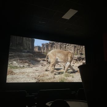 Galveston Primetime - Cinema Near Me - Galveston, Texas Galveston Primetime - Cinema Near Me - Galveston, Texas
