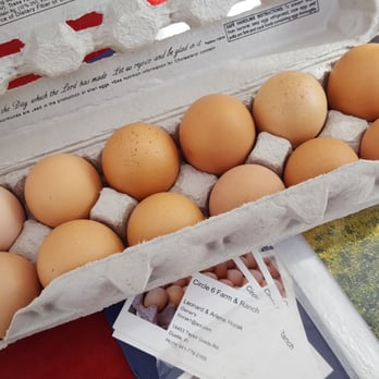 Dunedin Downtown Market - Farm fresh eggs - Farmers Market Near Me - Dunedin, Florida Dunedin Downtown Market - Farm fresh eggs - Farmers Market Near Me - Dunedin, Florida