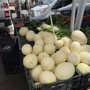 Photo of Happy Boy Farms