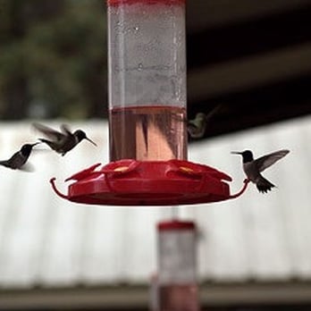 Hummer House With Bed & Breakfast - Bed & Breakfast Near Me - Christoval, Texas Hummer House With Bed & Breakfast - Bed & Breakfast Near Me - Christoval, Texas
