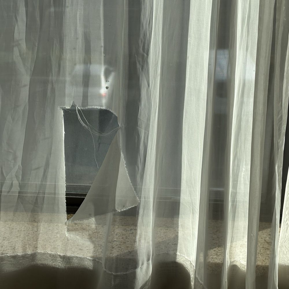 Rip in the sheer curtain in my room