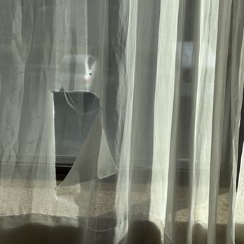 SpringHill Suites by Marriott Modesto - Rip in the sheer curtain in my room - Hotels Near Me - Modesto, California