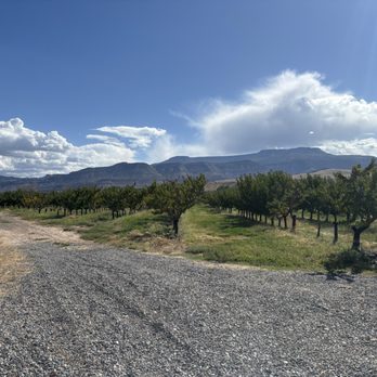 Colterris At The Overlook - Wine Tasting Room Near Me - Palisade, Colorado Colterris At The Overlook - Wine Tasting Room Near Me - Palisade, Colorado
