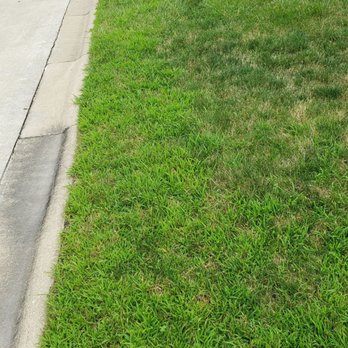Eternally Green Lawn Care - Wow EG says its our fault that we have weeds. Maybe we should hire someone besides EG. - Landscaping Near Me - Frankfort, Illinois Eternally Green Lawn Care - Wow EG says its our fault that we have weeds. Maybe we should hire someone besides EG. - Landscaping Near Me - Frankfort, Illinois