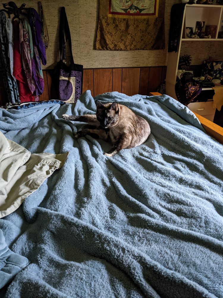 Streeter's Taxidermy - taxidermy in Ontario, NY