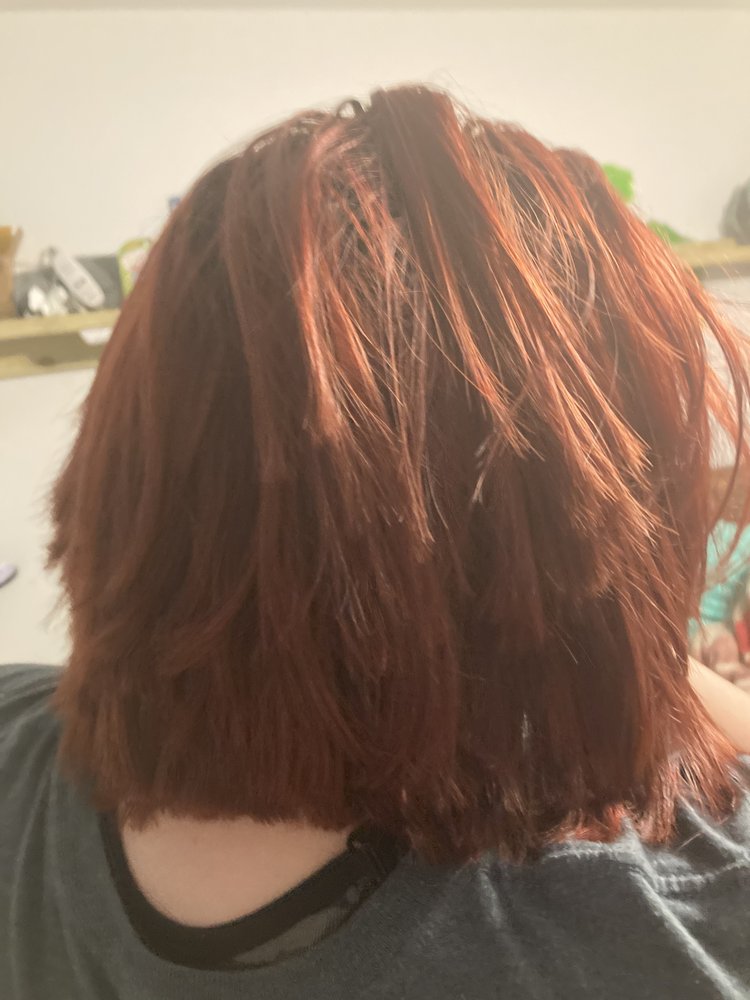 GREAT CLIPS Updated August 2024 3982 Linden Ave, Dayton, Ohio Hair Salons Phone Number