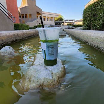 7 Leaves Cafe - Willy Wonka's Matcha River - Coffee & Tea Near Me - Irvine, California 7 Leaves Cafe - Willy Wonka's Matcha River - Coffee & Tea Near Me - Irvine, California