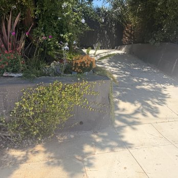 Crisostomo Landscaping - They also dig up the planter bin that the previous home owner had filled with concrete. - Landscaping Near Me - Concord, California