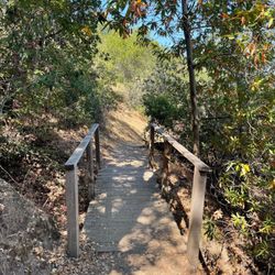 Little bridge