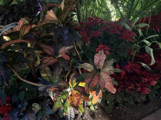 Buffalo and Erie County Botanical Gardens by null