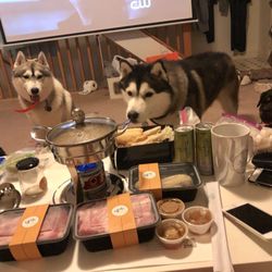 GuDong Hot Pot