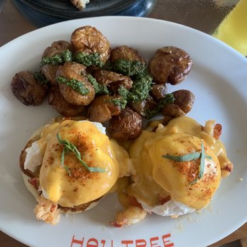 Hau Tree - Lobster Benedict. Sooooo amazing I was the happiest girl even the potatoes were flavored all the way through - Seafood Near Me - Honolulu, Hawaii Hau Tree - Lobster Benedict. Sooooo amazing I was the happiest girl even the potatoes were flavored all the way through - Seafood Near Me - Honolulu, Hawaii