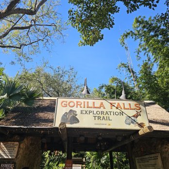 Gorilla Falls Exploration Trail - Amusement Parks Near Me - Lake Buena Vista, Florida