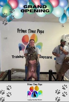 21-Day Behavior Modification Training - At Prime Time Pups, we understand that some dogs may struggle with negative or unwanted behaviors that can impact their quality of life and your relationship with them. Our comprehensive 21-Day Behavioral Modification Package is designed to address and mitigate these behavioral challenges, while also including basic obedience training.
Our experienced trainers specialize in working with dogs exhibiting behaviors such as dog-to-dog aggression, dog-to-people aggression, resource guarding, and separation anxiety. We approach each case with patience, compassion, and scientifically proven techniques to bring about positive change.
Throughout the 21 days, our dedicated trainers will assess your dog's specific behavior challenges and design a personalized program tailored to their needs. We will focus on modifying their responses, improving their emotional well-being, and strengthening their social skills.
In addition to addressing the unwanted behaviors, we include the comprehensive basic obedience training from our standard package. Your dog will learn essential commands such as Sit, Down, Stay, Come, and Heel, alongside the behavioral modification program. This integration ensures a well-rounded training approach that addresses both specific behavioral issues and foundational obedience.
Our trainers utilize positive reinforcement techniques to encourage desired behaviors and reshape your dog's responses. We work closely with you, providing guidance and support to help you better understand your dog's needs and effectively address the underlying causes of their behavior.
With the Prime Time Pups 21-Day Behavioral Modification Package, you can expect a transformation in your dog's behavior and a stronger bond between you and your furry companion. We are committed to helping you navigate and overcome the challenges your dog faces, promoting a happier and more balanced life for both of you. 21-Day Behavior Modification Training - At Prime Time Pups, we understand that some dogs may struggle with negative or unwanted behaviors that can impact their quality of life and your relationship with them. Our comprehensive 21-Day Behavioral Modification Package is designed to address and mitigate these behavioral challenges, while also including basic obedience training.
Our experienced trainers specialize in working with dogs exhibiting behaviors such as dog-to-dog aggression, dog-to-people aggression, resource guarding, and separation anxiety. We approach each case with patience, compassion, and scientifically proven techniques to bring about positive change.
Throughout the 21 days, our dedicated trainers will assess your dog's specific behavior challenges and design a personalized program tailored to their needs. We will focus on modifying their responses, improving their emotional well-being, and strengthening their social skills.
In addition to addressing the unwanted behaviors, we include the comprehensive basic obedience training from our standard package. Your dog will learn essential commands such as Sit, Down, Stay, Come, and Heel, alongside the behavioral modification program. This integration ensures a well-rounded training approach that addresses both specific behavioral issues and foundational obedience.
Our trainers utilize positive reinforcement techniques to encourage desired behaviors and reshape your dog's responses. We work closely with you, providing guidance and support to help you better understand your dog's needs and effectively address the underlying causes of their behavior.
With the Prime Time Pups 21-Day Behavioral Modification Package, you can expect a transformation in your dog's behavior and a stronger bond between you and your furry companion. We are committed to helping you navigate and overcome the challenges your dog faces, promoting a happier and more balanced life for both of you.