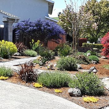 Sunrise Garden Design - Great color, low water and takes our summer heat. - Landscaping Near Me Sunrise Garden Design - Great color, low water and takes our summer heat. - Landscaping Near Me