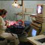 Michael D Silveus, DDS