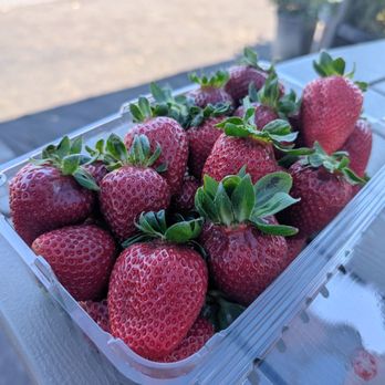 Byron Growers - Pick Your Own Farms Near Me - Byron, California