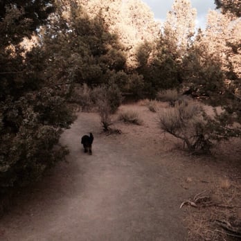 Big Sky Dog Park - Juniper dirt trails, area 1 - Dog Parks Near Me - Bend, Oregon