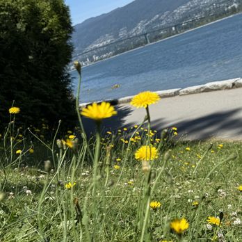 Spokes Bicycle Rentals - Bike Rentals Near Me - Vancouver, British Columbia Spokes Bicycle Rentals - Bike Rentals Near Me - Vancouver, British Columbia