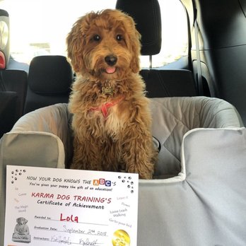 Karma Dog Training - Dog Walkers Near Me - Overland Park, Kansas Karma Dog Training - Dog Walkers Near Me - Overland Park, Kansas